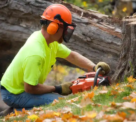 tree services West Yellowstone